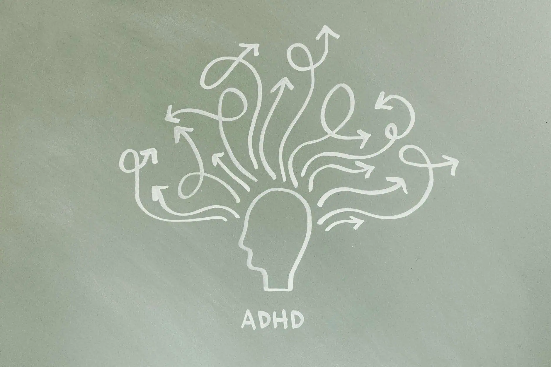 adhd diagnosis in Sarasota, FL