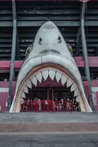 shark mouth shaped entrance