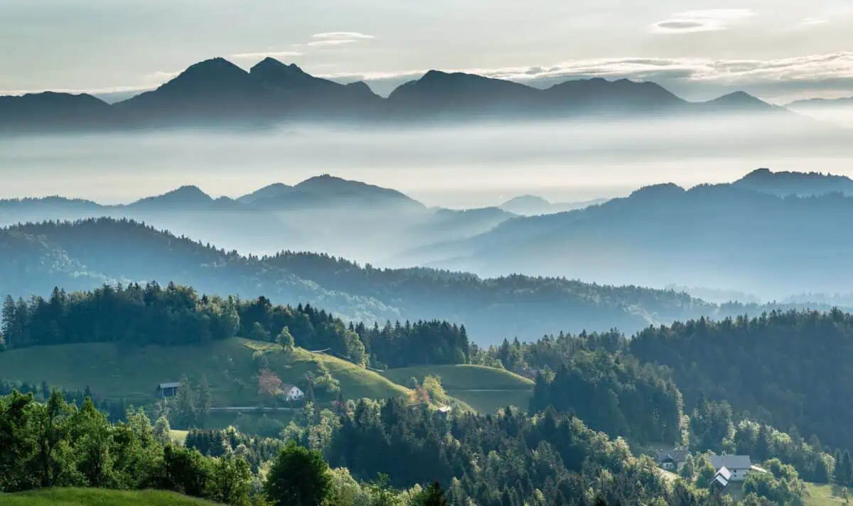 mountainous valley with evergreen forest against misty sky