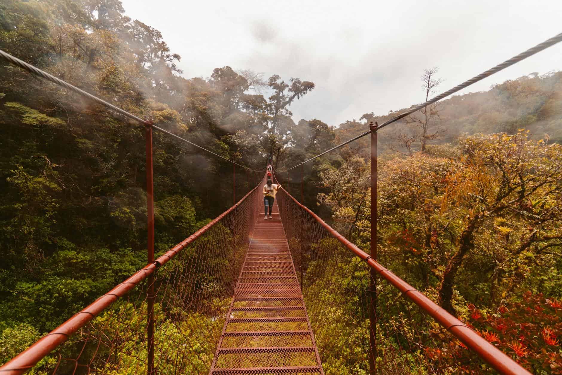 person walking on hanging bridge