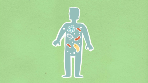 paper applique of human figure with bacteria