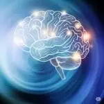 The aging brain's capacity for new learning and cognitive health in Sarasota, FL.