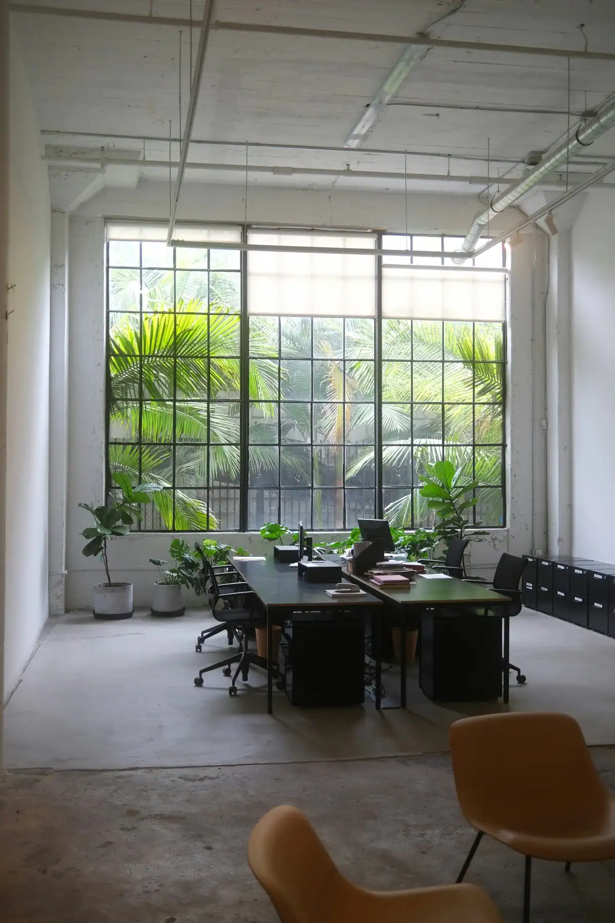 A serene therapy office setting in Sarasota, FL