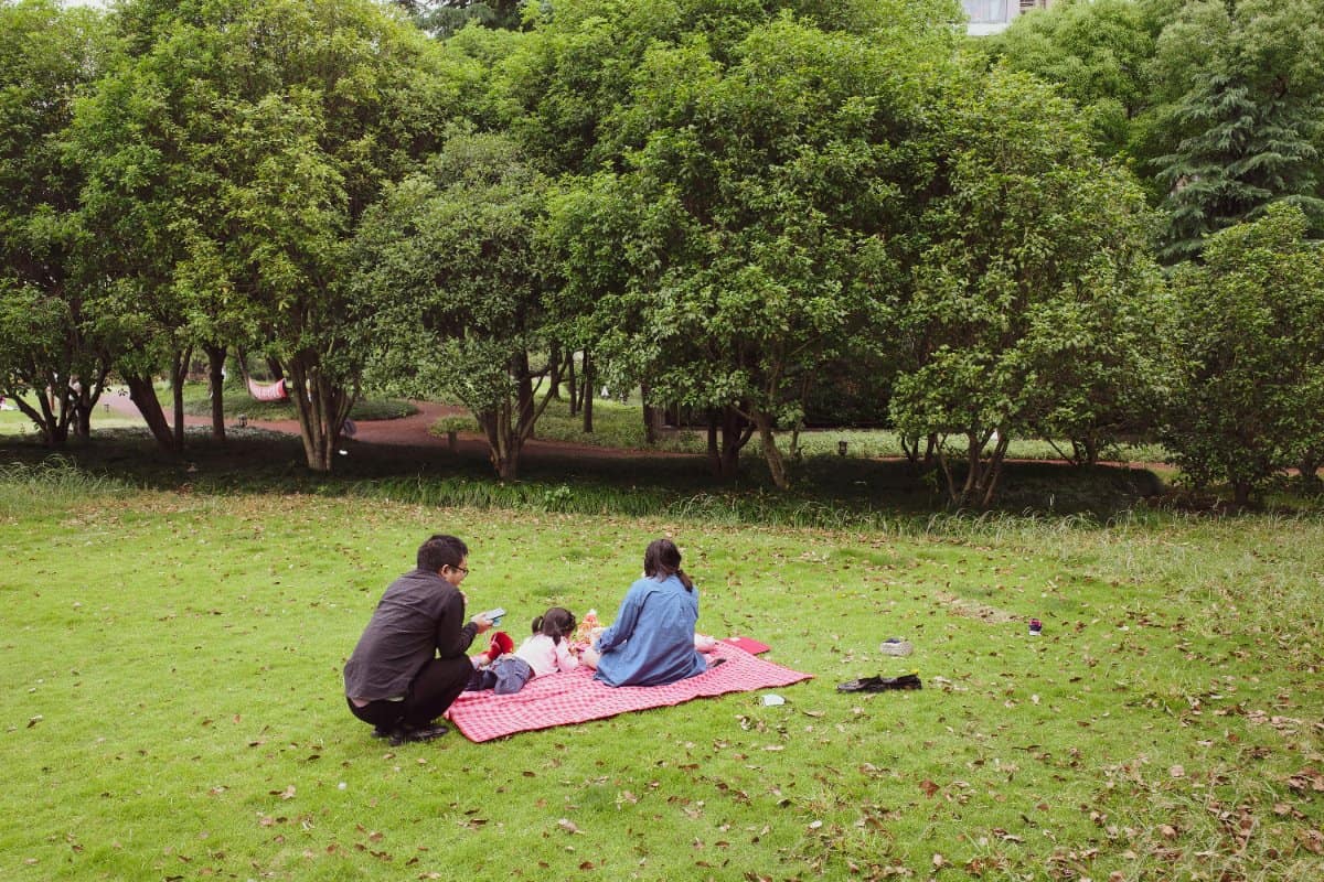 A family playing together outdoors, illustrating secure and supportive attachment