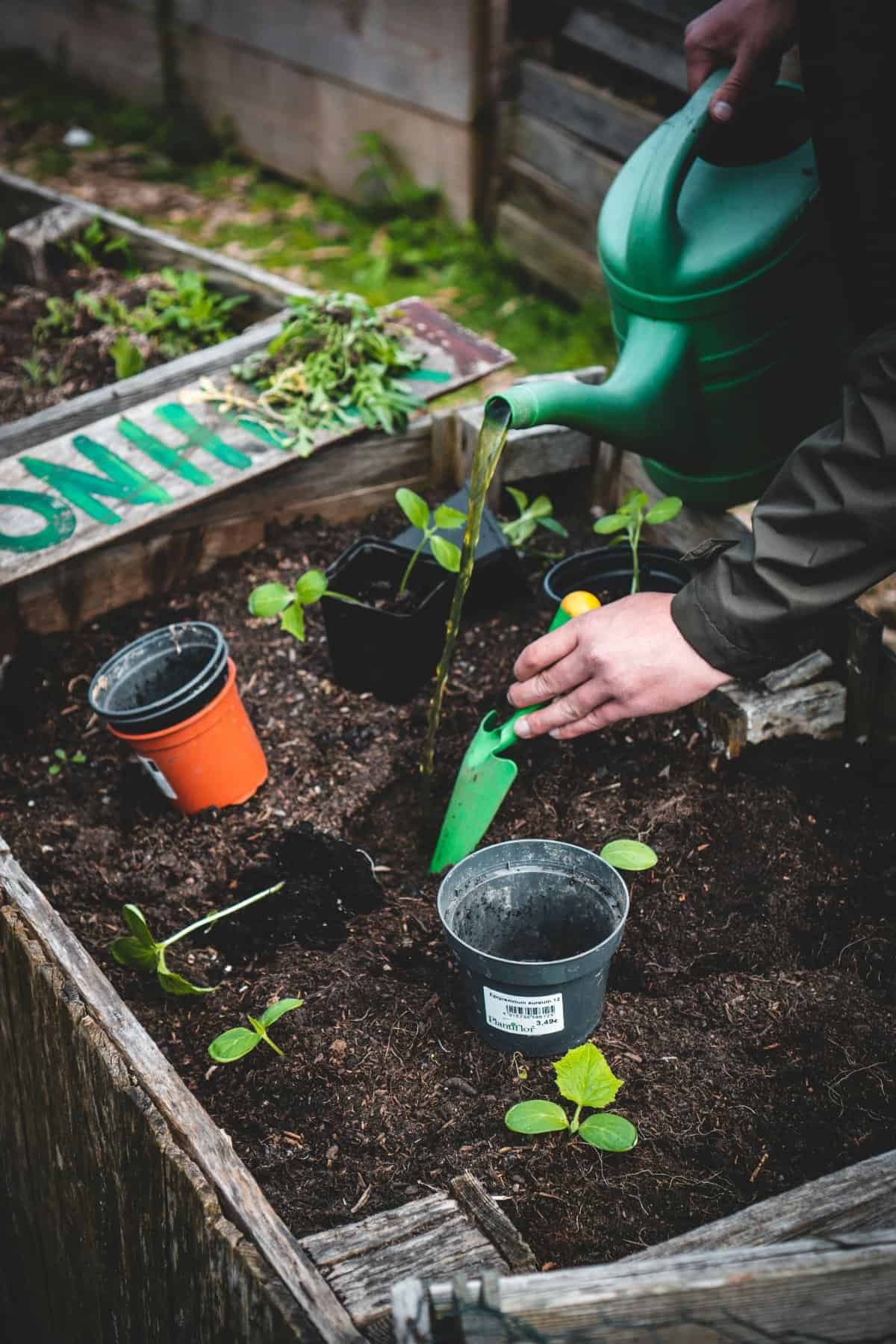 Parent engaging in a hobby, such as painting or gardening