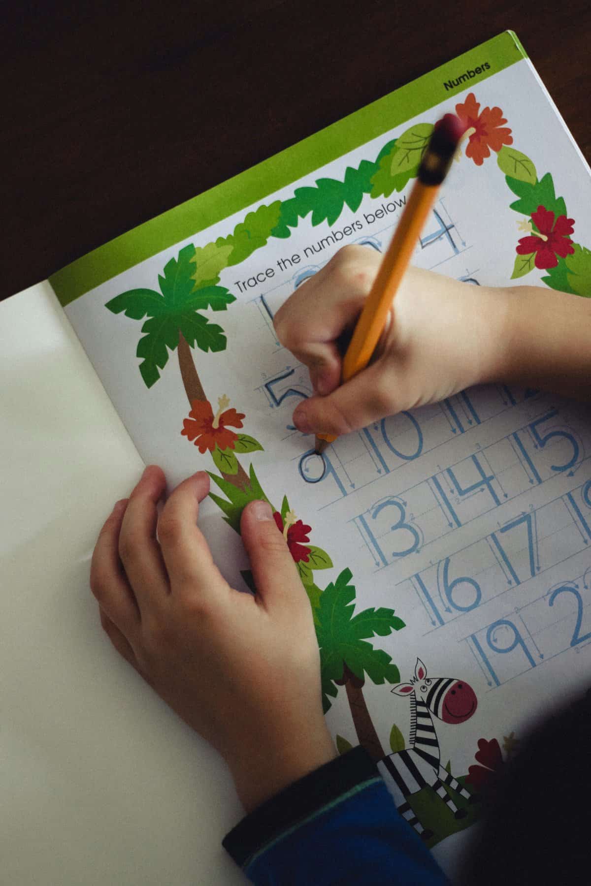 A visual schedule with images depicting daily vacation activities, helping in child's preparation.